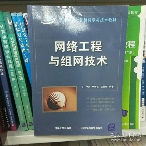 网络工程与组网 从理论到实践的系统构建
